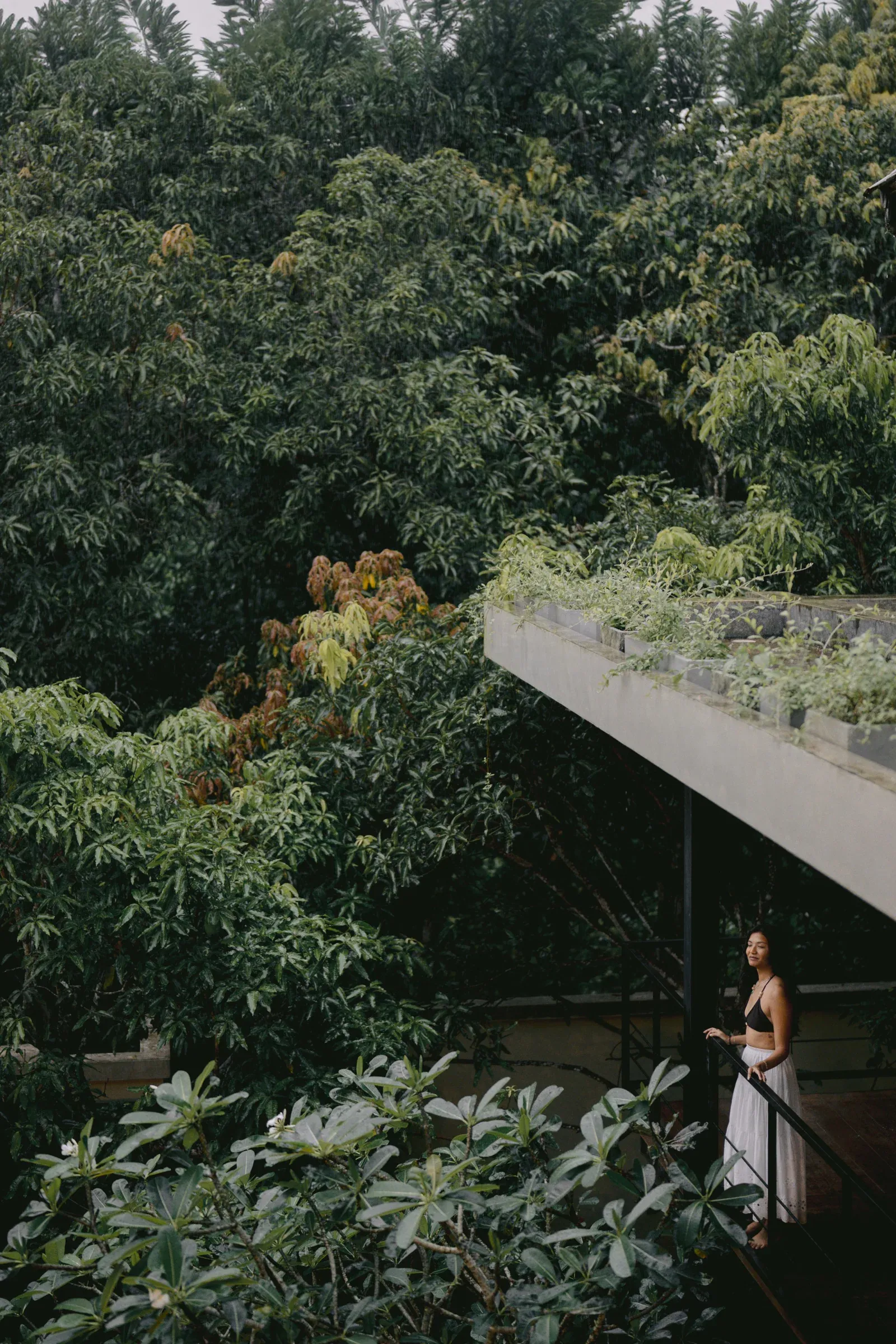 Ein Gast auf einem Holzsteg unter einem bepflanzten Dach, ringsum dichte Bäume